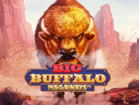 game logo by Skywind Group on mr-pachocasino.gr