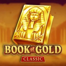 game logo by Playson on mr-pachocasino.gr