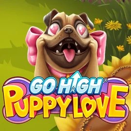 game logo by RubyPlay on mr-pachocasino.gr